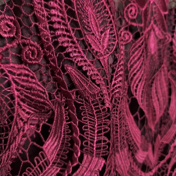 JS Collections Embroidered Lace Midi Dress - Picture 8 of 13